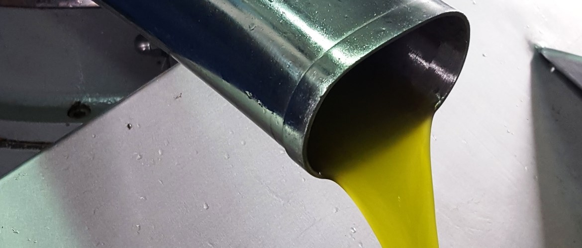 Extra virgin olive oil production